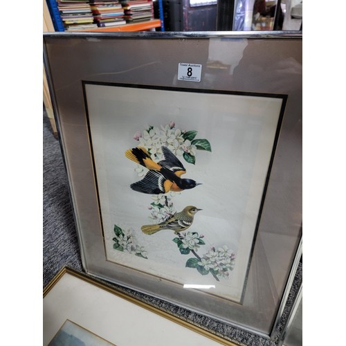 8 - Collection of 4x framed and glazed pictures inc 2 bird prints by James Gordon Irving, an unsigned wa... 