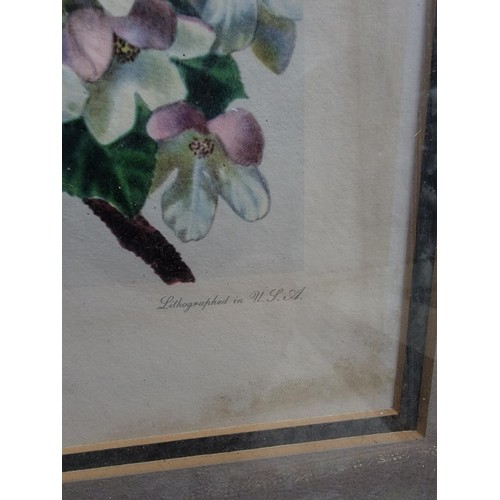 8 - Collection of 4x framed and glazed pictures inc 2 bird prints by James Gordon Irving, an unsigned wa... 