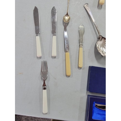 38 - Large quantity of cutlery inc pickle fork, serving spoons, apostle spoons, nut cracker, tea strainer... 