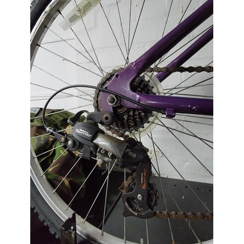 191 - Ladies Raleigh mountain bike 16