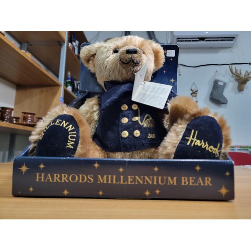 Harrods millenium best sale teddy bear