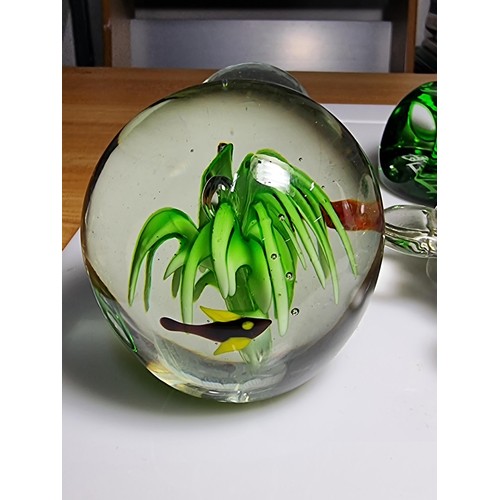 135 - A collection of 6 good glass paperweights to include an unusual turtle formed paperweight with 2 bab... 