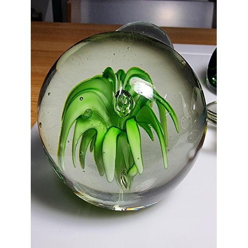 135 - A collection of 6 good glass paperweights to include an unusual turtle formed paperweight with 2 bab... 