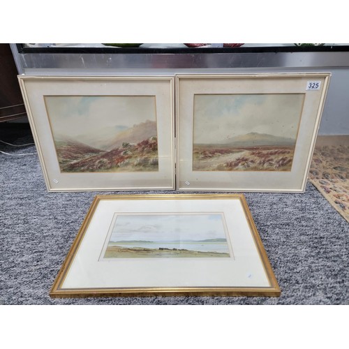 325 - 3x framed and glazed watercolours inc Cox Tor, River Lye  and Morcombe Bay, some foxing to the pictu... 