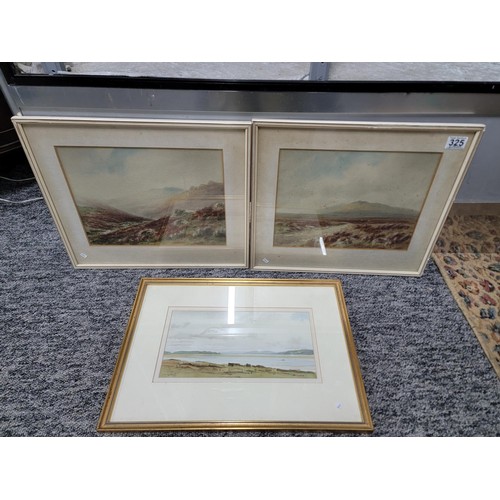 325 - 3x framed and glazed watercolours inc Cox Tor, River Lye  and Morcombe Bay, some foxing to the pictu... 