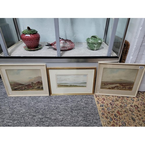 325 - 3x framed and glazed watercolours inc Cox Tor, River Lye  and Morcombe Bay, some foxing to the pictu... 