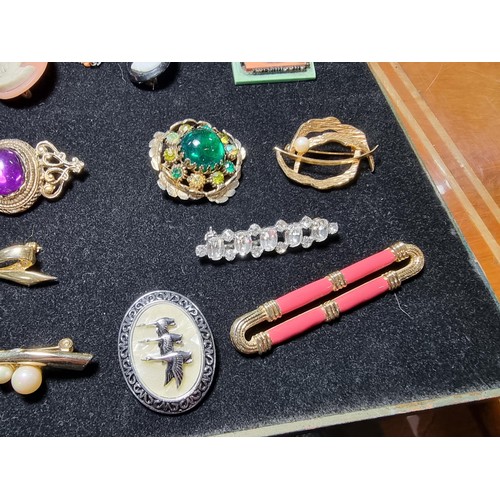 287 - large collection of 37x various costume brooches to include scarf pins, cameos, hard stone brooches ... 