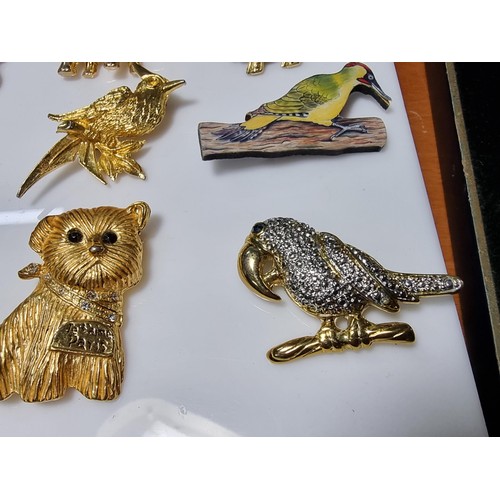 291 - Collection of 12x animal related brooches to include a large dog brooch 4x bird brooches, 3x dolphin... 