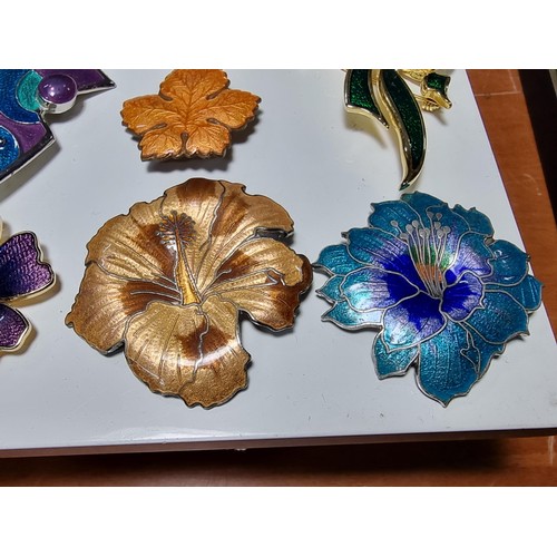 292 - Collection of 9x good quality enamel brooches featuring 3x flower brooches with ornate designs a map... 