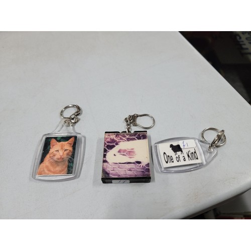 128 - Collection of key rings of animals, inc cats, dogs, etc