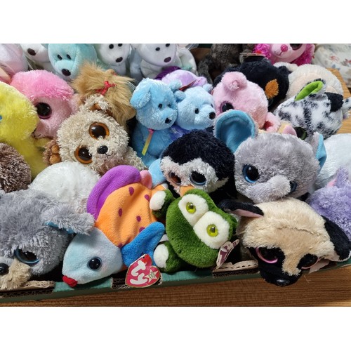 73 - A very large collection of approx 38 x ty Beanie babies to include many different types, all in exce... 