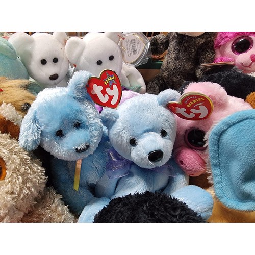 73 - A very large collection of approx 38 x ty Beanie babies to include many different types, all in exce... 