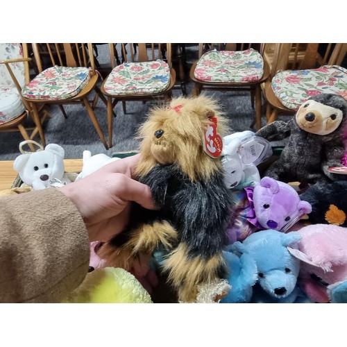 73 - A very large collection of approx 38 x ty Beanie babies to include many different types, all in exce... 