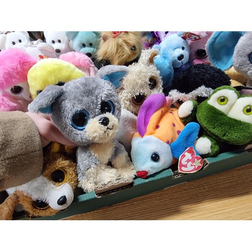 73 - A very large collection of approx 38 x ty Beanie babies to include many different types, all in exce... 