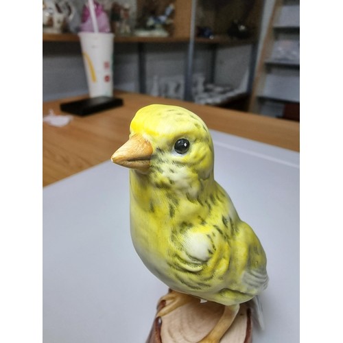 169 - A Goebel West Germany hand painted porcelain bird figure of a canary. In excellent clean condition w... 