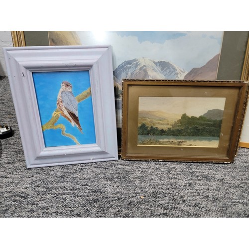 331 - Quantity of framed and glazed art work inc an oil on board of a kestrel, large print of a watercolou... 