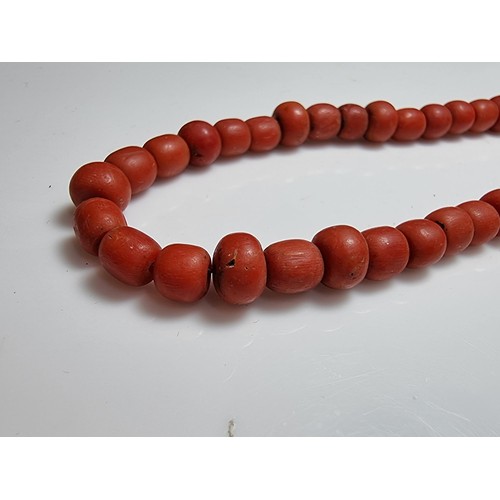 225 - A good vintage genuine coral beaded necklace in good vintage condition, clasp requires some attentio... 