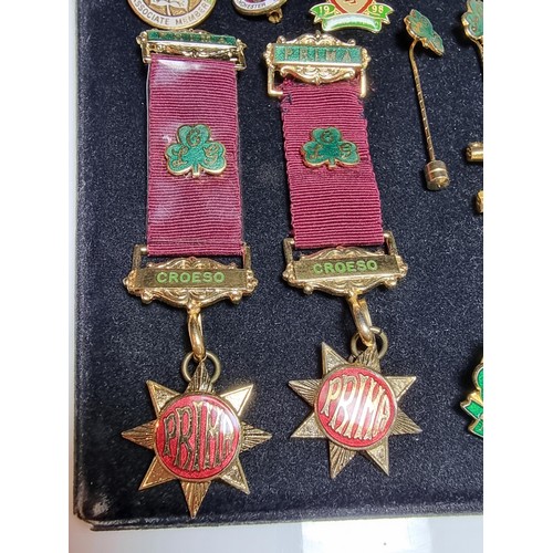 222 - Suite of collectable pin badges to include qty of Prima RAOB medals and badges, a Liverpool & Manche... 