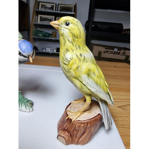 230 - Collection of 3x vintage hand painted porcelain figures of a Chaffinch, Blue Titmouse & a Canary, tw... 