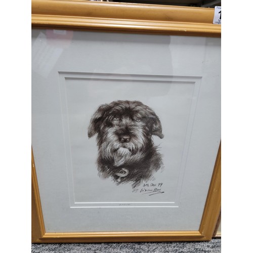 118 - Collection of 3x framed and glazed  pictures of dogs inc 2x originals one signed by Marion in pastel... 