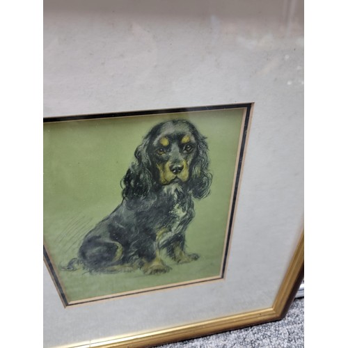 118 - Collection of 3x framed and glazed  pictures of dogs inc 2x originals one signed by Marion in pastel... 