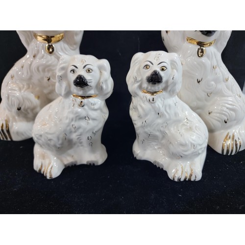 339 - Quantity of 7x graduated ceramic white spaniels inc 2x Royal Doulton, 4x Beswick and a Avalon piece,... 