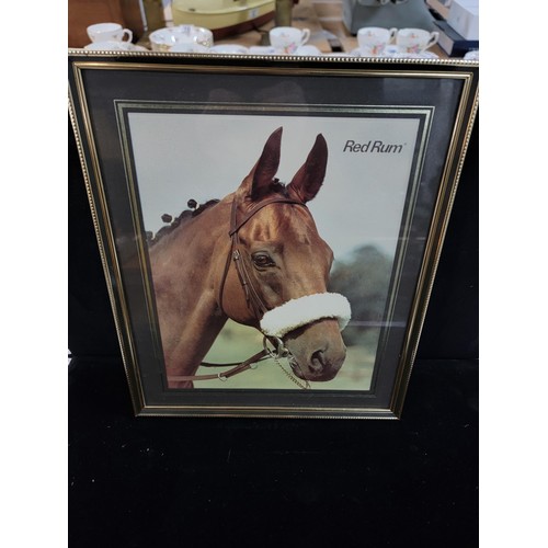 341 - Framed and glazed photo of Red Rum 1970's Grand National Winner along with a resin brass effect hors... 