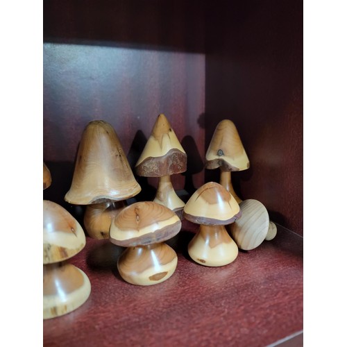 343 - Collection of 22x wooden formed toadstools of various sizes inc 5 graduate toadstools largest stands... 