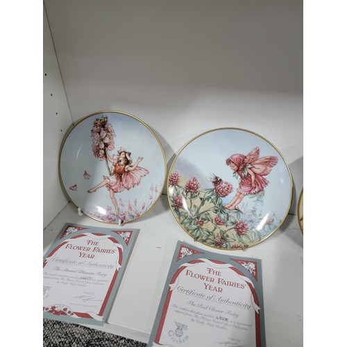 356 - Collection of 12x The Flowers Of The Year china plates designed by Cicely Mary Barker, all with COA'... 