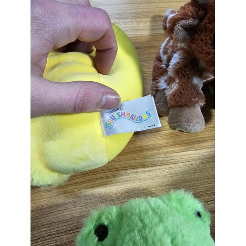 63 - A collection of soft toys 3 by build a bear workshop, 1 is a Squishmallow along with Steven the Seag... 