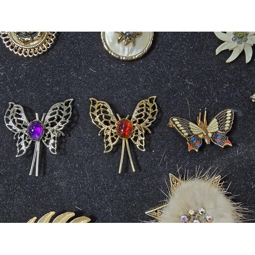 192 - A large collection of approx 39 costume brooches to include some good jewelled brooches the Scottish... 