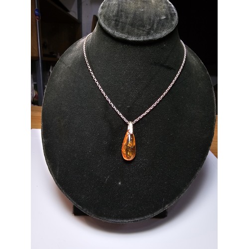 208 - An impressive genuine Baltic amber specimen pendant inset with real inset inclusions which includes ... 