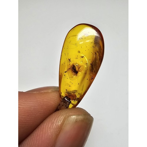 208 - An impressive genuine Baltic amber specimen pendant inset with real inset inclusions which includes ... 