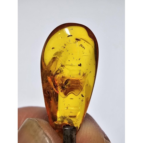 208 - An impressive genuine Baltic amber specimen pendant inset with real inset inclusions which includes ... 