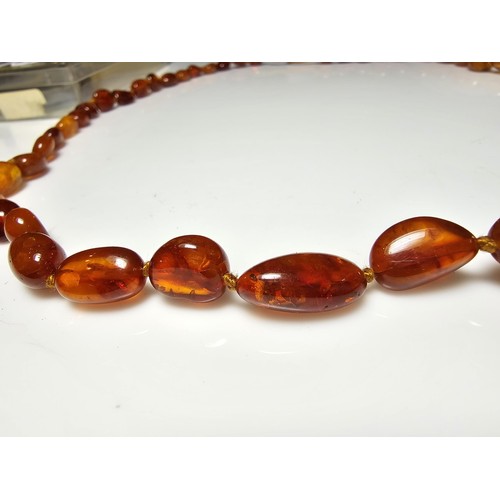 241 - A good quality vintage hand knotted genuine amber beaded necklace, each bead has an interesting natu... 