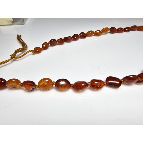 241 - A good quality vintage hand knotted genuine amber beaded necklace, each bead has an interesting natu... 