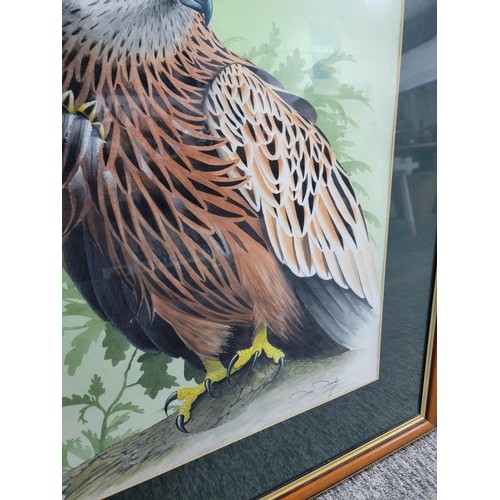 106 - Very impressive nicely mounted framed and glazed original watercolour of a red kite by wildlife arti... 