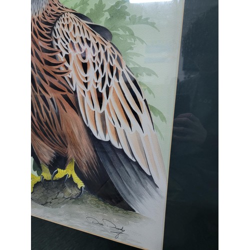 106 - Very impressive nicely mounted framed and glazed original watercolour of a red kite by wildlife arti... 