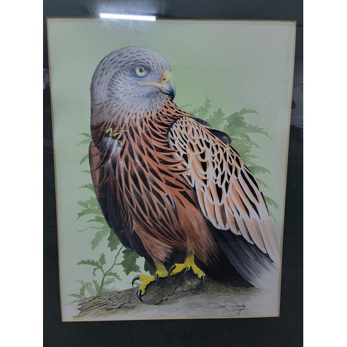 106 - Very impressive nicely mounted framed and glazed original watercolour of a red kite by wildlife arti... 