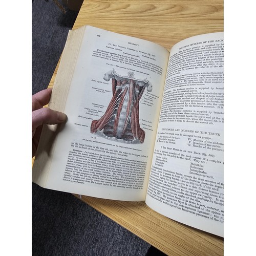 7 - 2x medical reference books to include Gray's Anatomy and emergency surgery by Hamilton Bailey contai... 