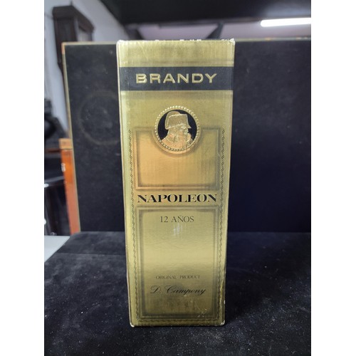 132 - Boxed new and sealed bottle of Napoleon brandy dating from late 1980's early 1990's in good order