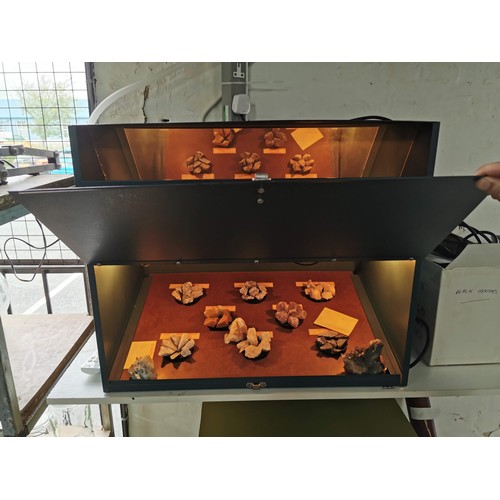 140 - Metal light viewing box with built in viewing mirror lights and UV light displaying a quantity of cr... 