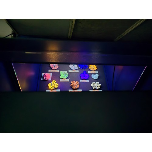 140 - Metal light viewing box with built in viewing mirror lights and UV light displaying a quantity of cr... 