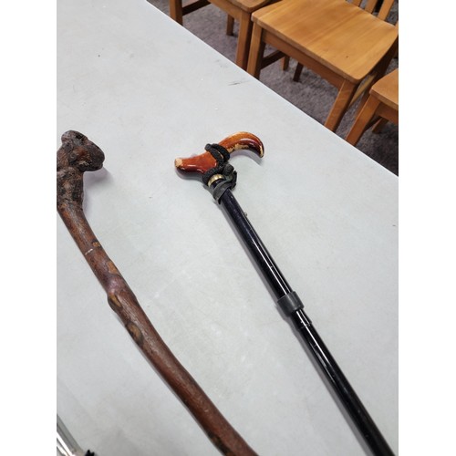 5 - Shillelagh style walking stick, 1x other adjustable walking stick and a Donnay International umbrell... 