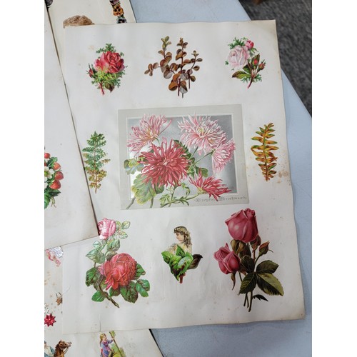 10 - 12x Antique scrap book pages containing many stuck on colourful embossed pictures of flowers, animal... 