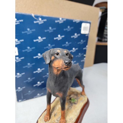 294 - A boxed border fine arts studio standing doberman figure in excellent condition on a wooden plinth a... 