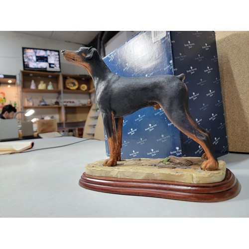 294 - A boxed border fine arts studio standing doberman figure in excellent condition on a wooden plinth a... 