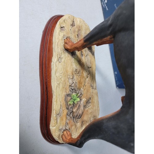 294 - A boxed border fine arts studio standing doberman figure in excellent condition on a wooden plinth a... 