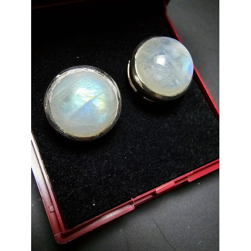 203 - Pair of Large 925 Silver stud earrings inset with spectrolite stones presenting excellent flashing r... 