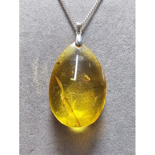 209 - Large and impressive natural baltic amber pendant on a good 18 inch 925 Silver chain along with a pa... 